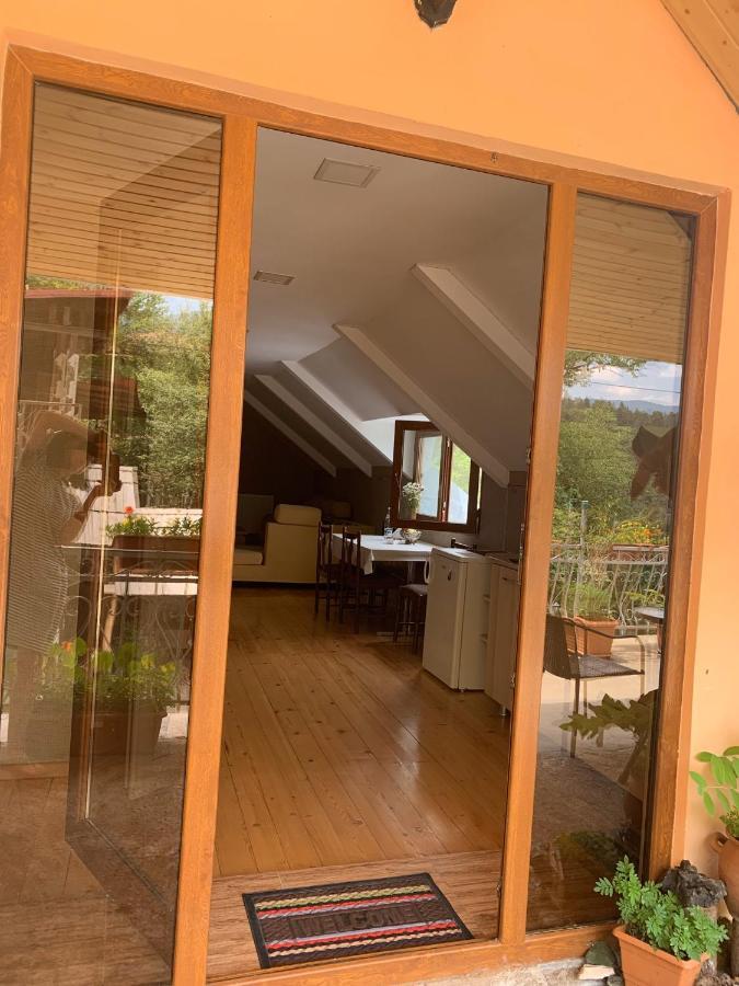 Anano's Guesthouse Borjomi Eksteriør billede