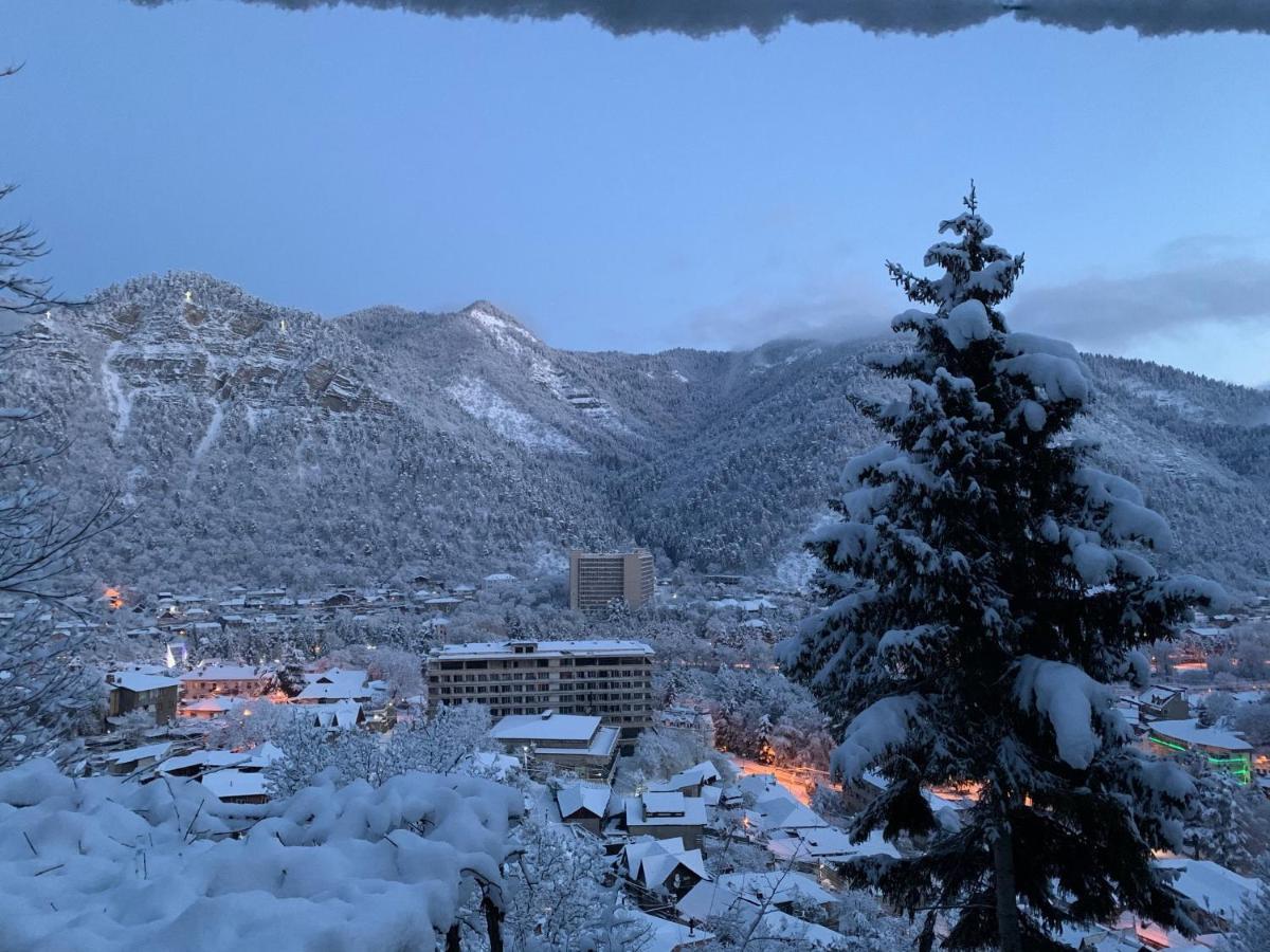 Anano's Guesthouse Borjomi Eksteriør billede