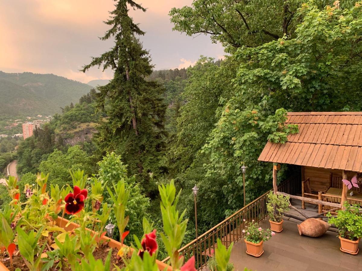 Anano's Guesthouse Borjomi Eksteriør billede