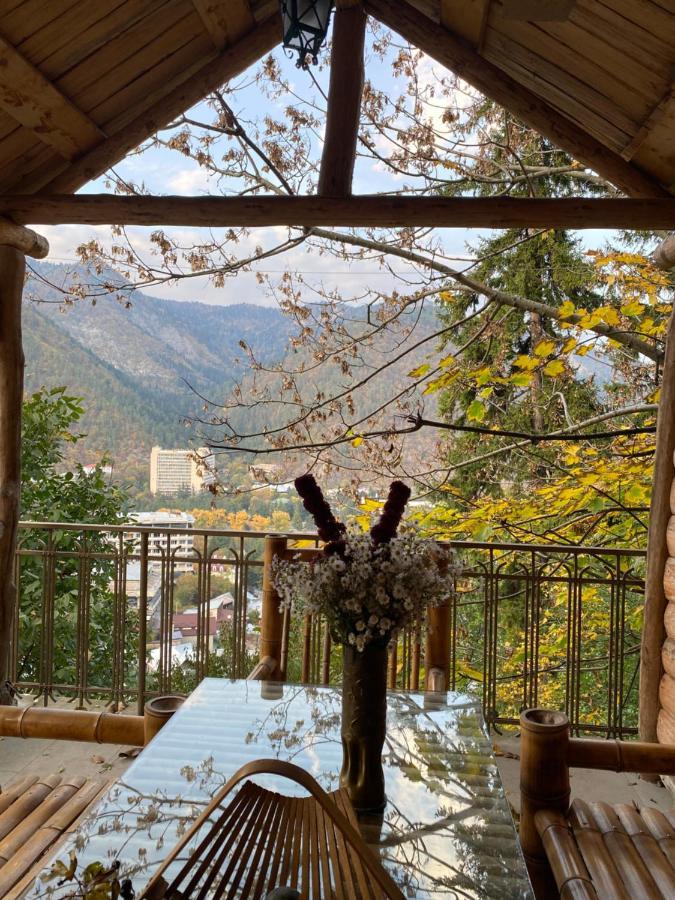 Anano's Guesthouse Borjomi Eksteriør billede