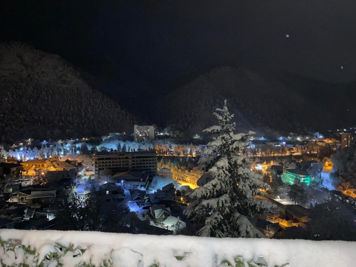 Anano's Guesthouse Borjomi Eksteriør billede