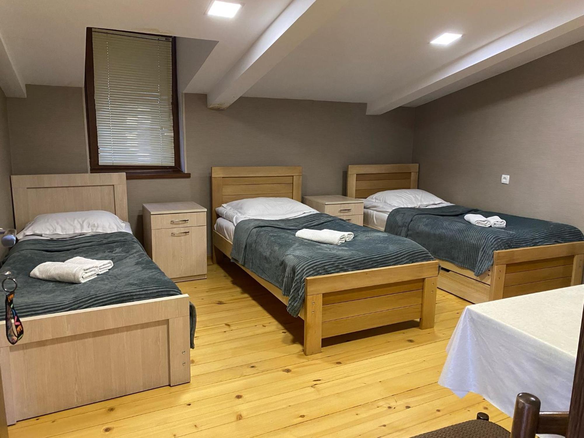 Anano's Guesthouse Borjomi Eksteriør billede