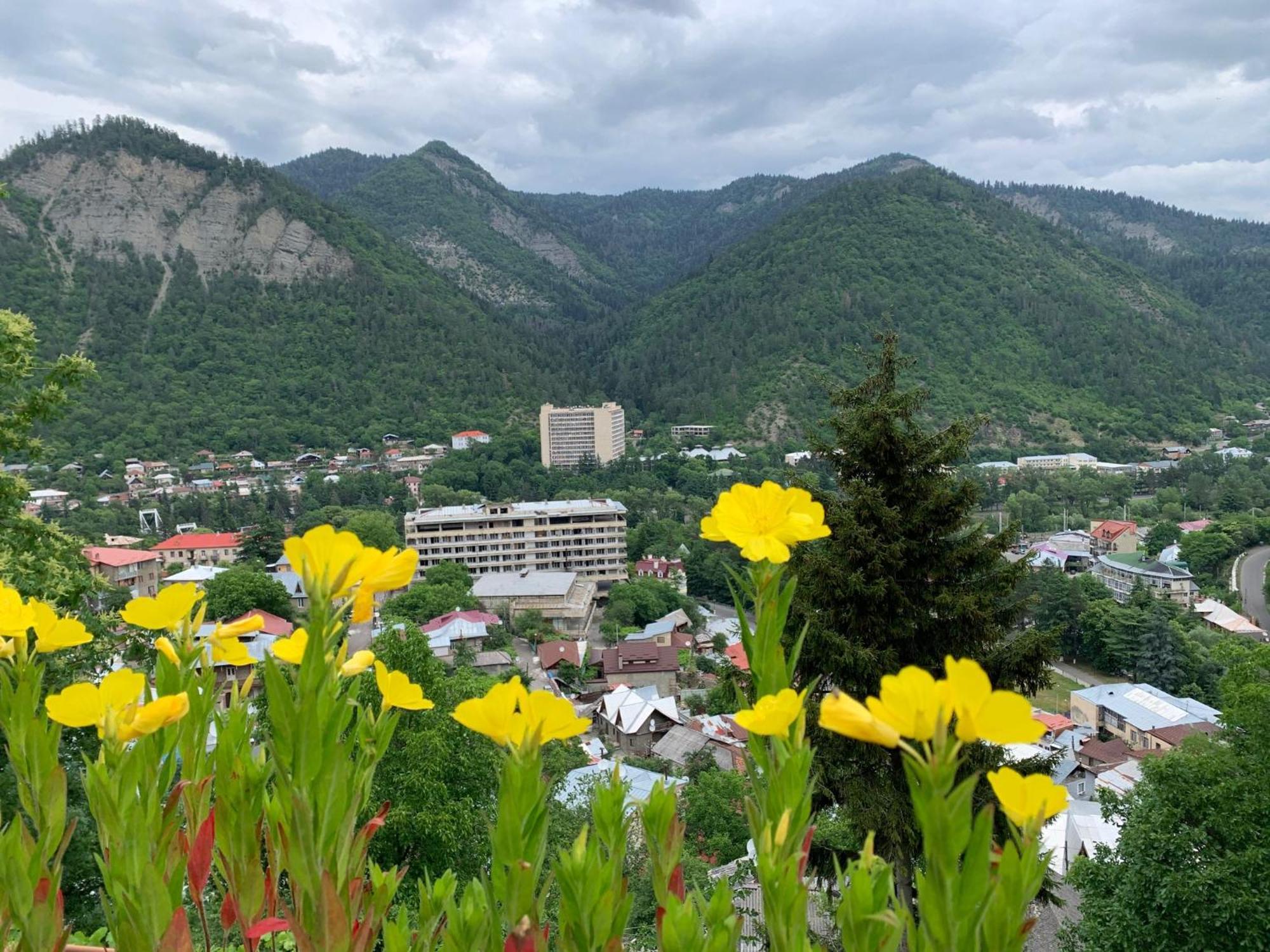 Anano's Guesthouse Borjomi Eksteriør billede