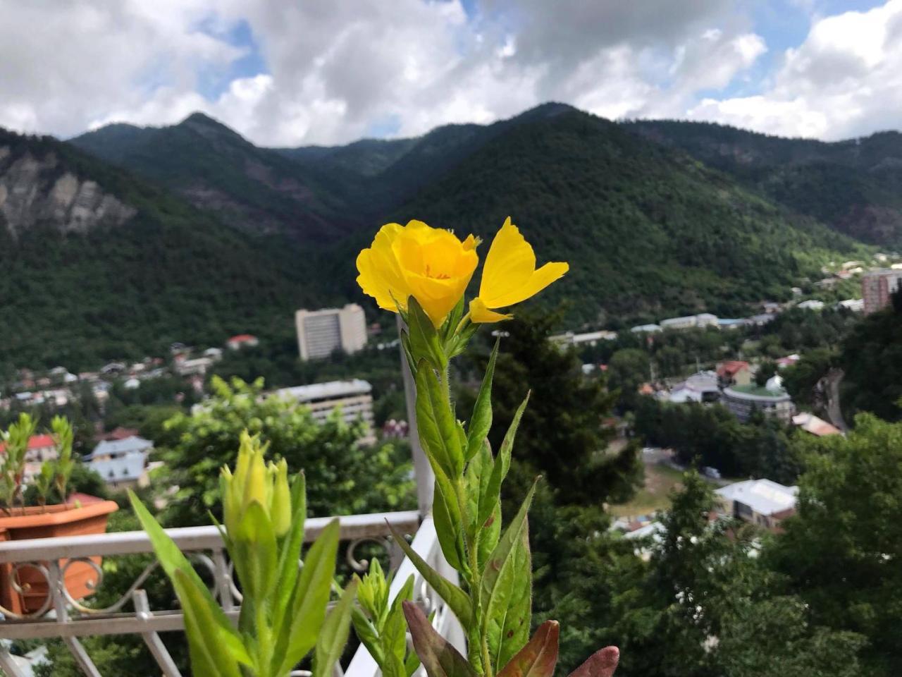 Anano's Guesthouse Borjomi Eksteriør billede