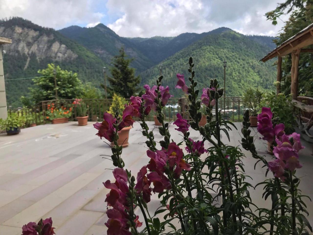 Anano's Guesthouse Borjomi Eksteriør billede
