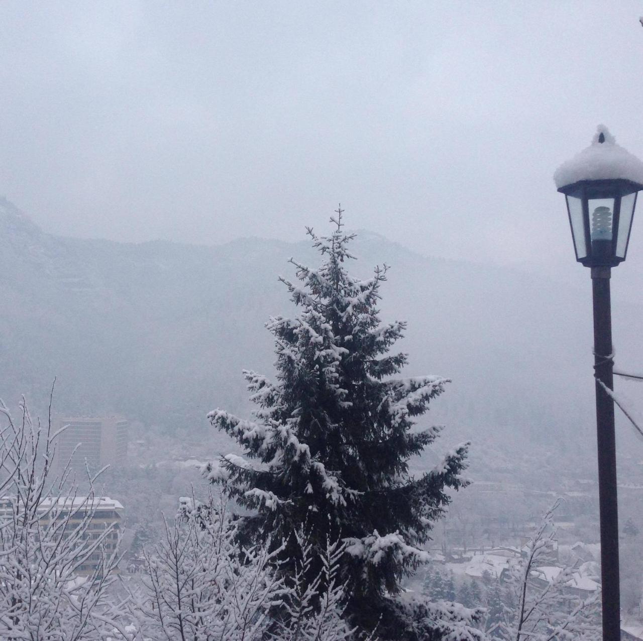 Anano's Guesthouse Borjomi Eksteriør billede