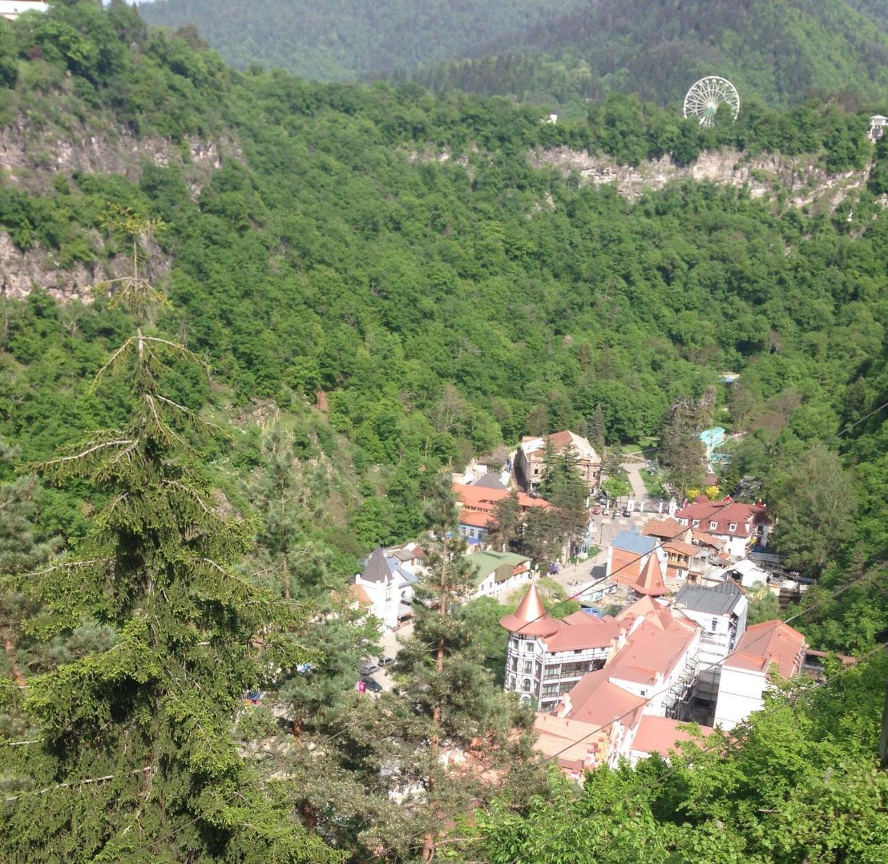Anano's Guesthouse Borjomi Eksteriør billede