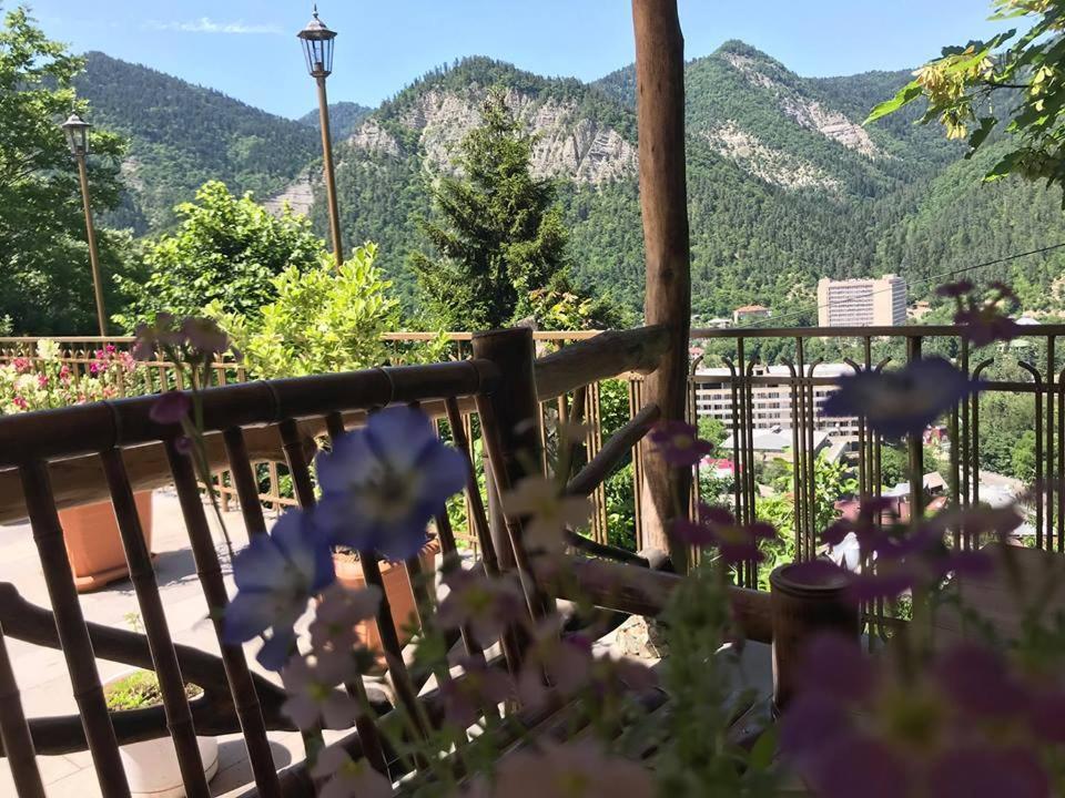 Anano's Guesthouse Borjomi Eksteriør billede