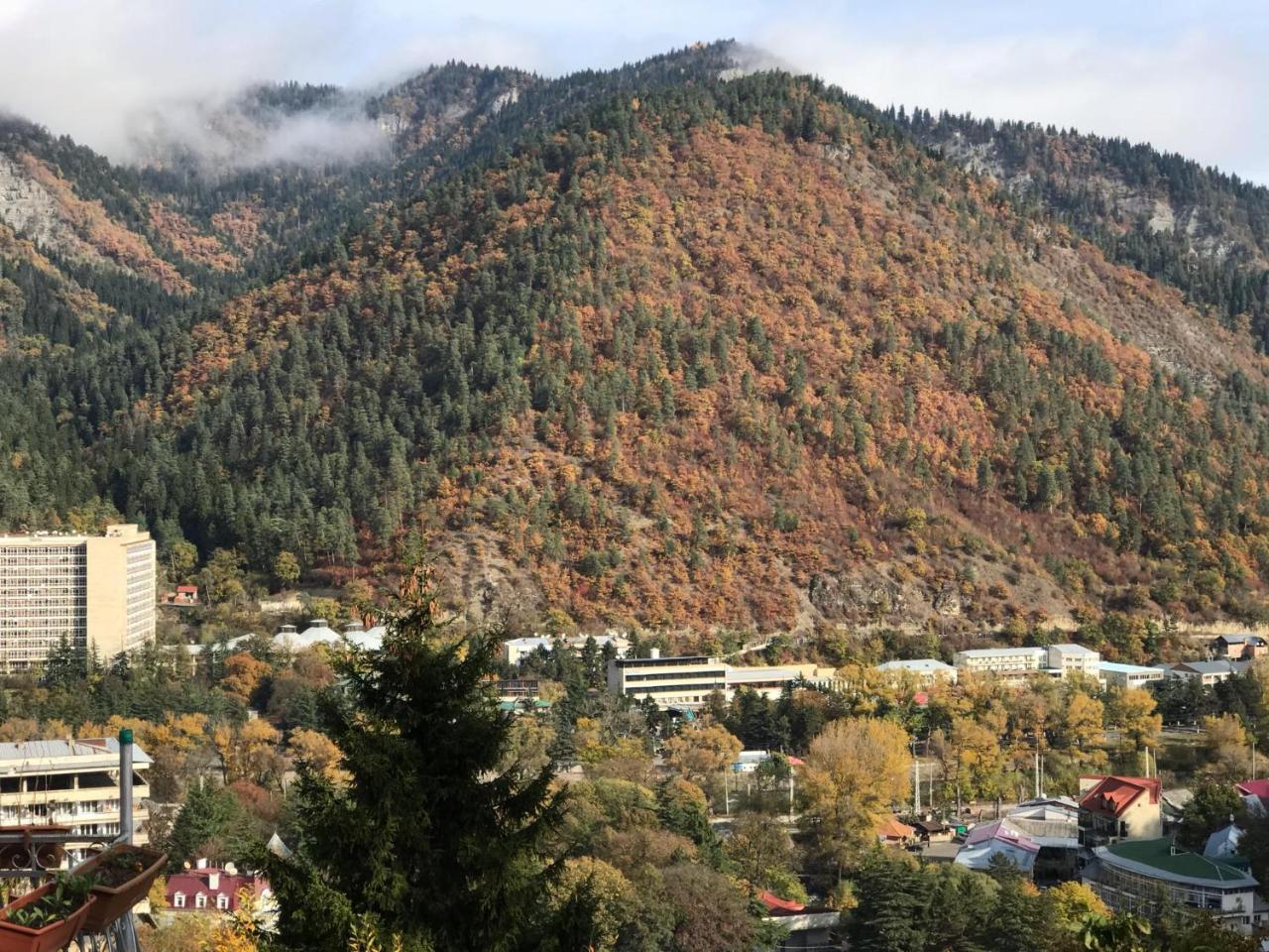 Anano's Guesthouse Borjomi Eksteriør billede