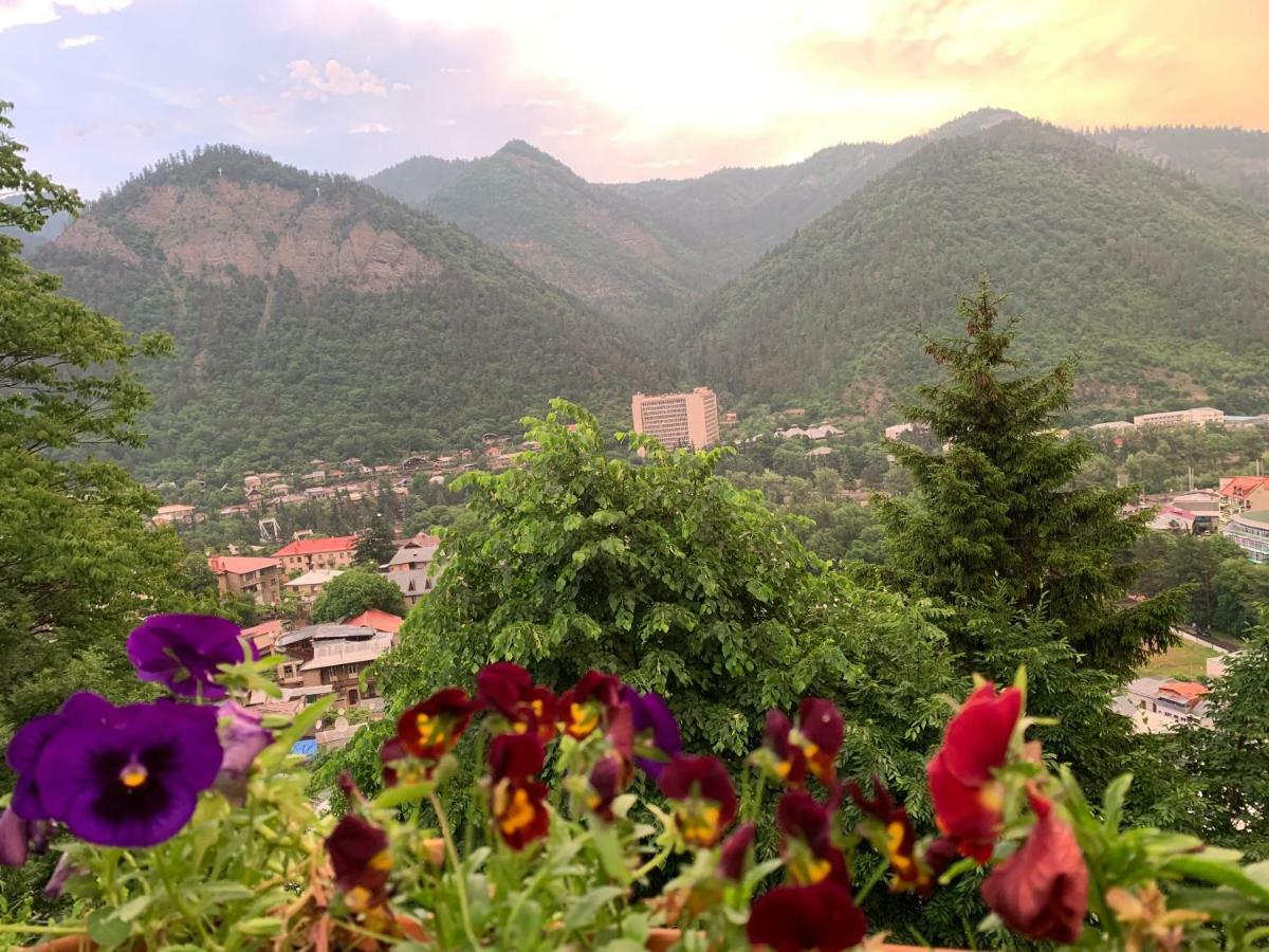 Anano's Guesthouse Borjomi Eksteriør billede