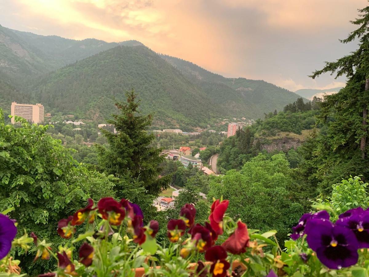 Anano's Guesthouse Borjomi Eksteriør billede